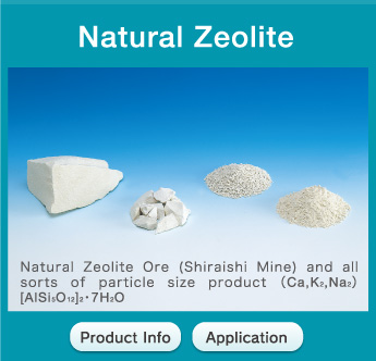Natural Zeolite
